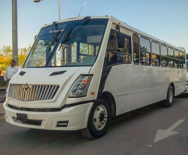 Transporte gratuito para asistir al encendido del pino navideño