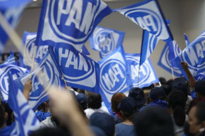 TEPJF palomea plurinominales del PAN en Tamaulipas