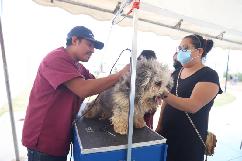 Realizan brigada mixta de salud en Nuevo Laredo