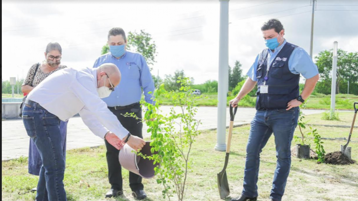 Arranca reforestación “Sembrando vida” del Gobierno de Tamaulipas