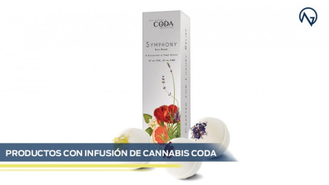 Más de 100 mil dólares en la bolsa de regalo para los nominados a los premios Oscar