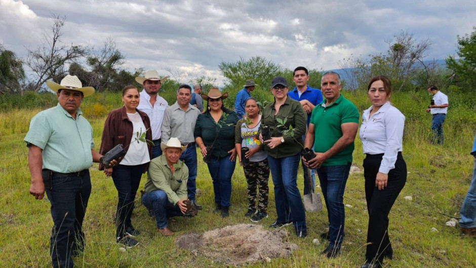  Promueven conciencia ambiental con donación de plantas forestales