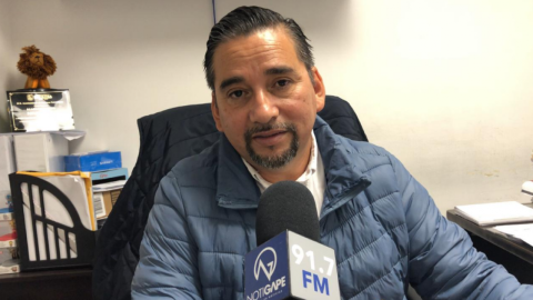 Pinos donados serán utilizados para abonar jardines