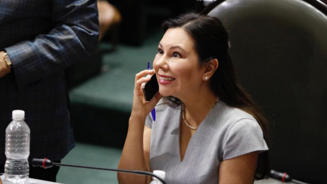 Laura Rojas va como presidente de la Cámara de Diputados,