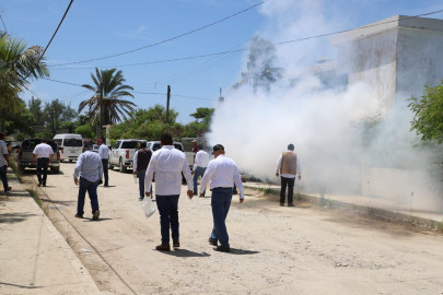 Actualiza Secretaría de Salud al personal médico sobre el dengue
