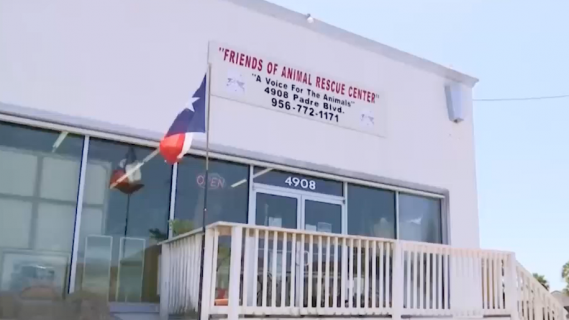 Recaudan fondos para un refugio de animales 