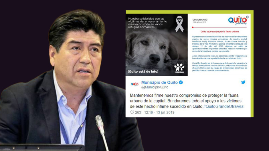 Se pronuncia Alcalde de Quito tras envenenamiento de perros