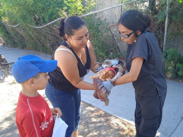 Programa "EcoPatas" del Gobierno de Reynosa es todo un éxito