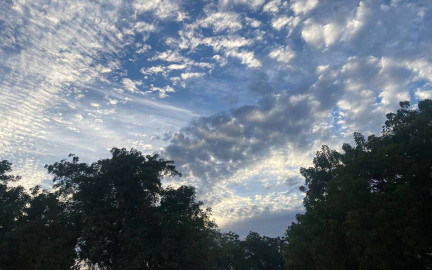 Conoce el clima de este martes en Tamaulipas