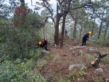 Continúan brigadistas en el Cañón del Novillo