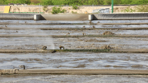 Impulsa Gobierno de Tamaulipas agua limpia y saneamiento de cuerpos de cuencas, ríos, lagunas, arroyos y manantiales.