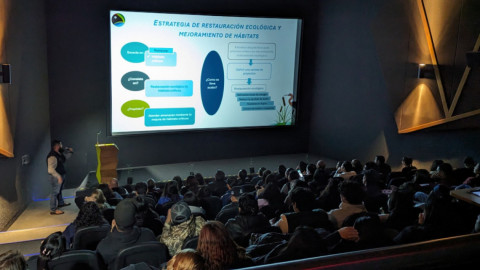 Unen esfuerzos por la conservación del manglar