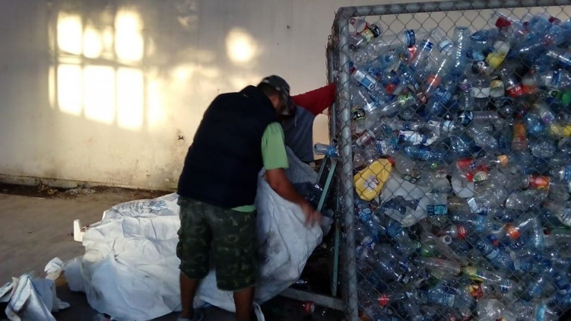 TAM recicla evita la tala de 10 mil 658 árboles: Gobierno de Tamaulipas