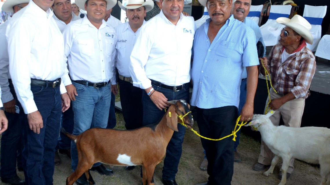 Entregan ganado bovino a productores pecuarios