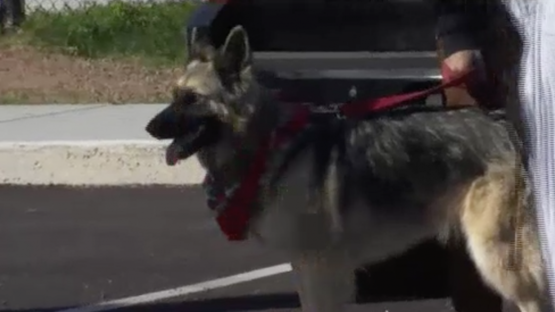 Inauguran parque para perros en Mission