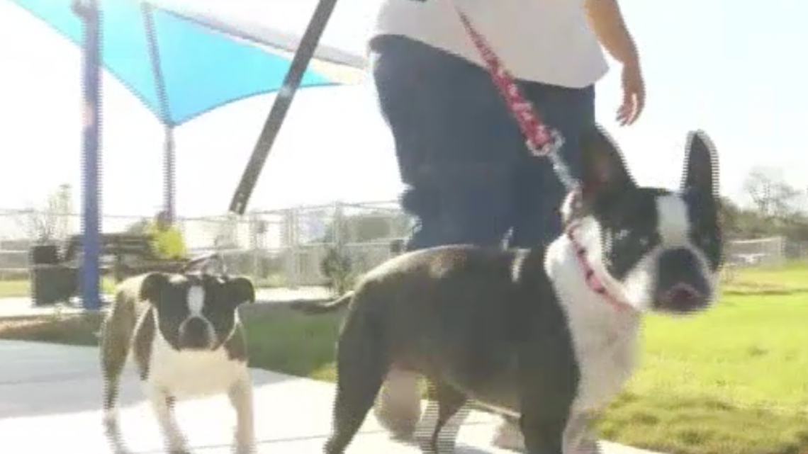 Inauguran parque para perros en Mission