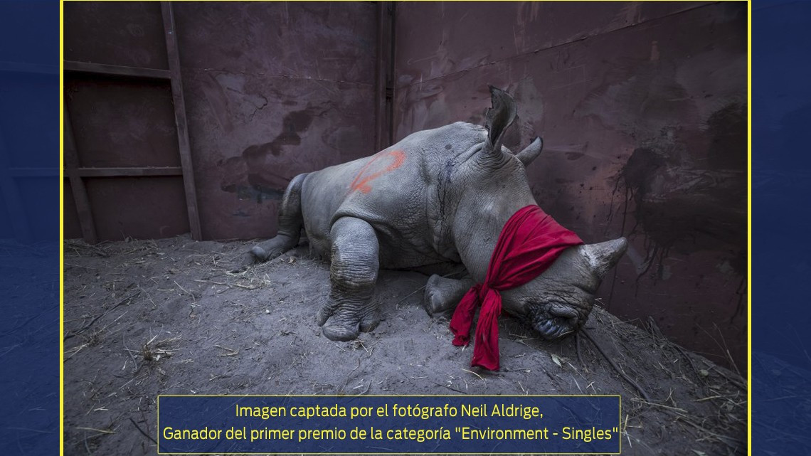 Esta es la imagen ganadora del World Press Photo 2018