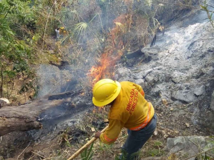 Oaxaca continua con 6 incendios forestales