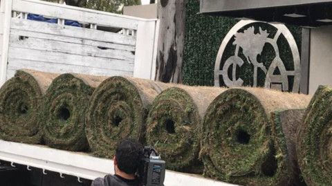 Comienzan a cambiar pasto en Estadio Azteca