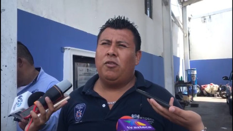 Bomberos captura en promedio 6 saurios al mes