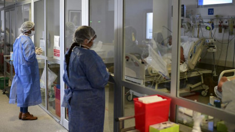 Argentina registró la primera víctima del llamado "hongo negro"