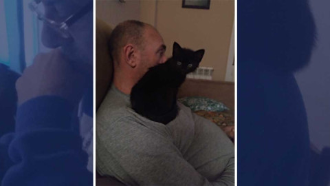 ¡No quiero animales!, días después...