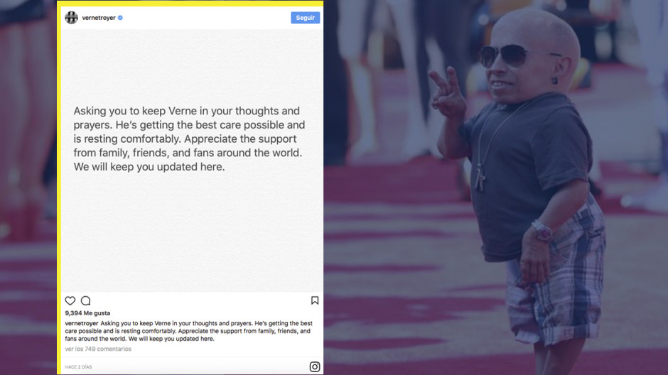  Verne Troyer, es internado por actitud 'suicida'