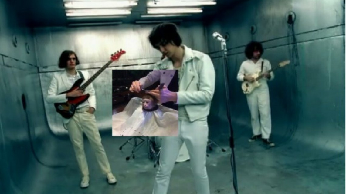 El meme del corte de pelo a un mono que encaja en todo