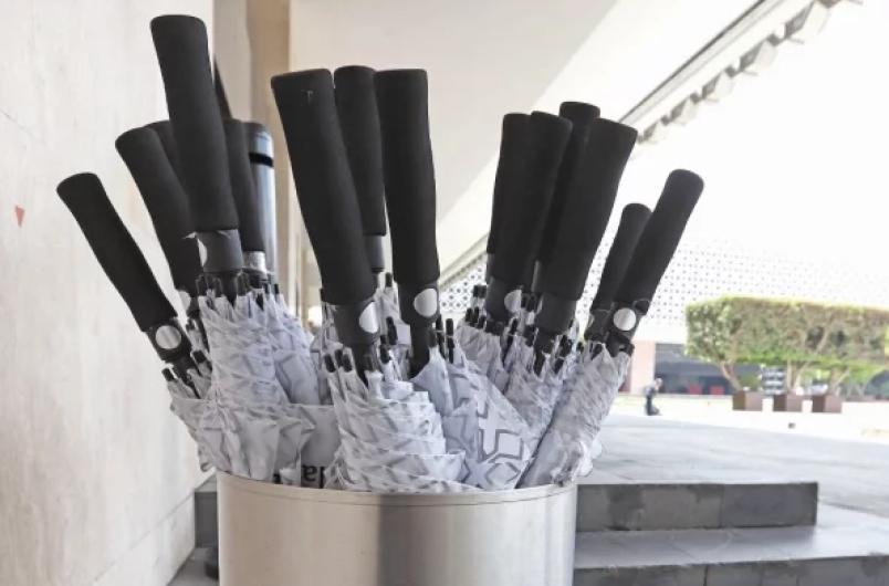 Cerca de 265 mil pesos gasta la Cámara de Diputados en paraguas