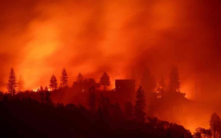 Campamentos de Incendios Forestales de Estados Unidos son foco de contagios COVID-19 