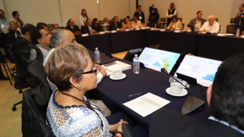 Presentará Tamaulipas logros en materia de salud durante consejo nacional