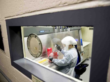 Países muestran avances para tratamiento contra COVID-19