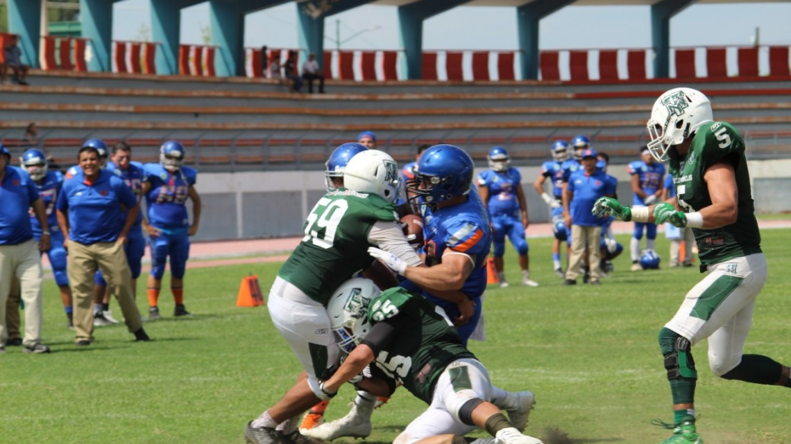 Paso perfecto del Campeón