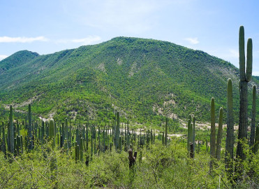 México entre los 19 patrimonios mundiales de la UNESCO