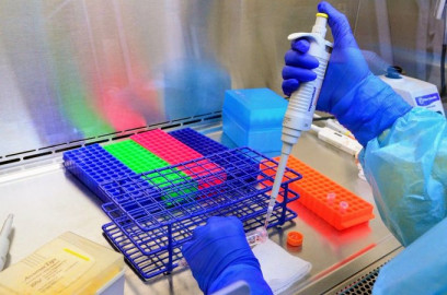 Supera Tamaulipas los 13 casos de coronavirus con 13 mil 191 positivos y 840 defunciones