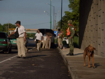 Esperan llegada de seis mil elementos de Guardia Nacional en Chiapas