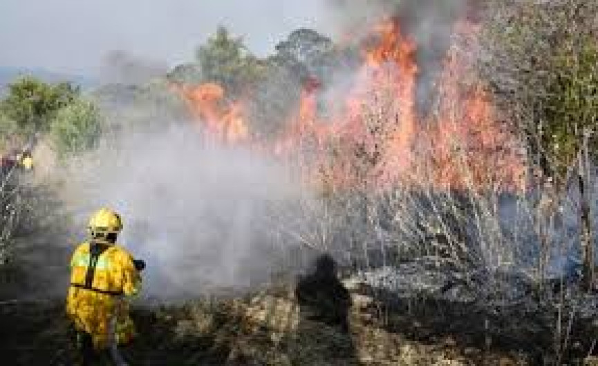  Incendio en la Sierra Gorda de Querétaro está controlado al 70 por ciento
