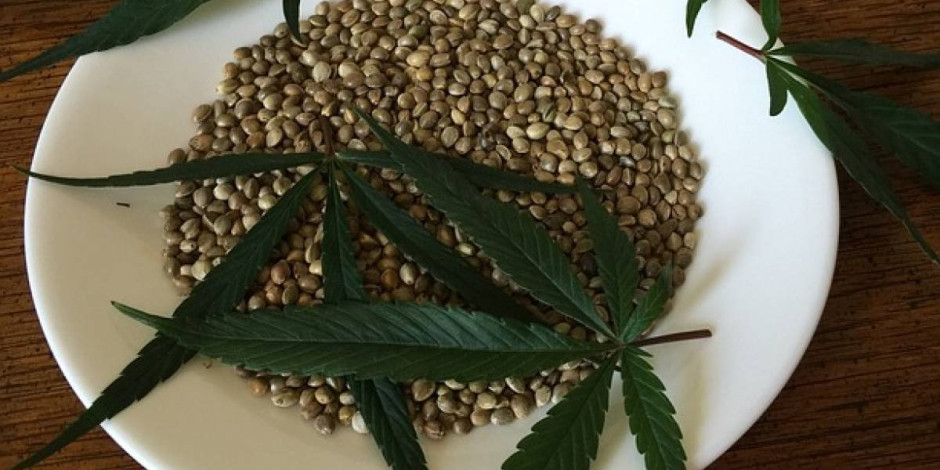 Conoce cuando iniciará la venta de productos de marihuana en México