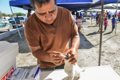 Realizarán campaña de prevención canina