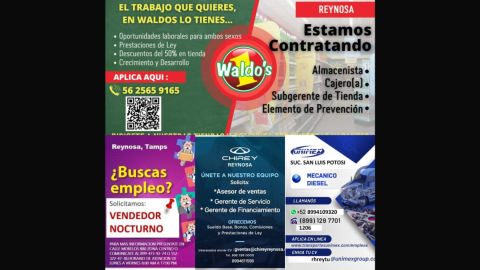 Visión del Alcalde Carlos Peña Ortiz permite mayor creación de empleo