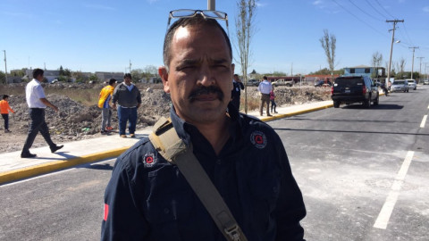 Analiza PC incluir elementos caninos a sus filas