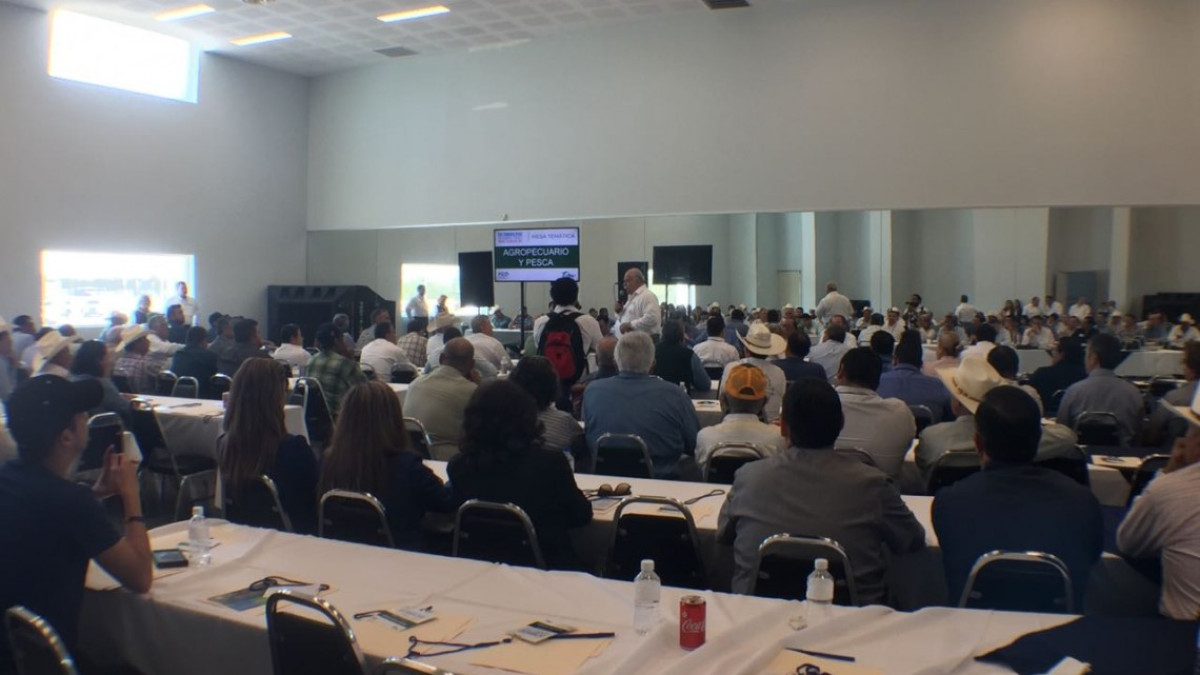 Jornadas Ciudadanas muestra de nuevo espíritu democrático: CDV