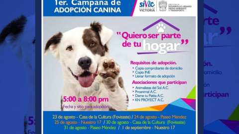 Invitan a ciudadanía a participar en “Quiero ser parte de tu hogar”