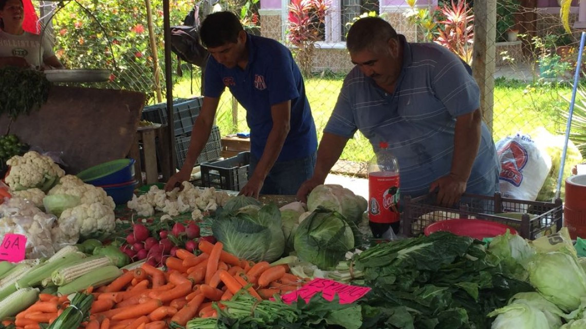 Crisis en rodantes, por falta de empleo y actividad económica en la región