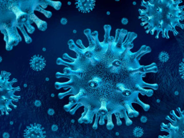 Confirman 4 nuevos casos de coronavirus en Tamaulipas