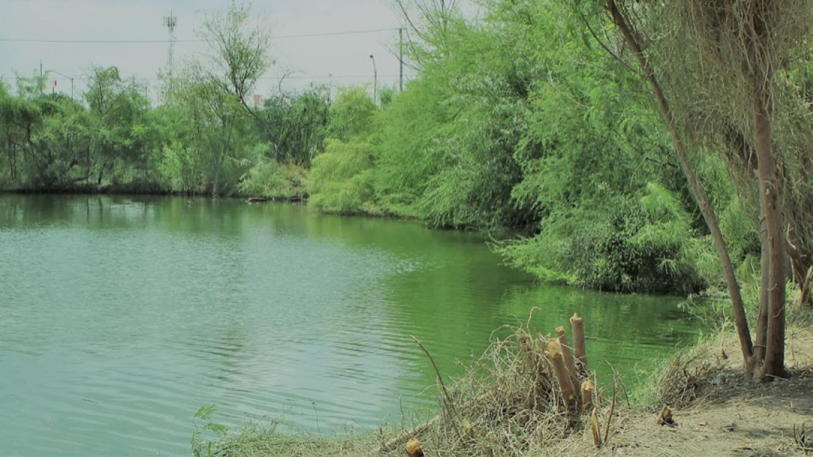 Gobierno de Tamaulipas exhorta a limpiar drenes y canales para prevenir y evitar inundaciones en colonias.