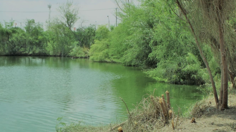 Gobierno de Tamaulipas exhorta a limpiar drenes y canales para prevenir y evitar inundaciones en colonias.