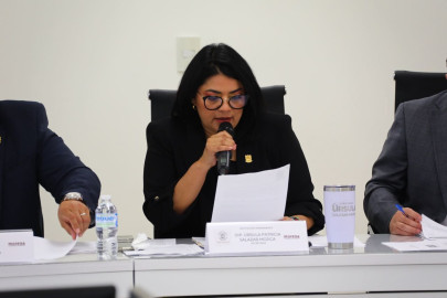 Congreso aun sin facultades para retirar escoltas a ex funcionarios 