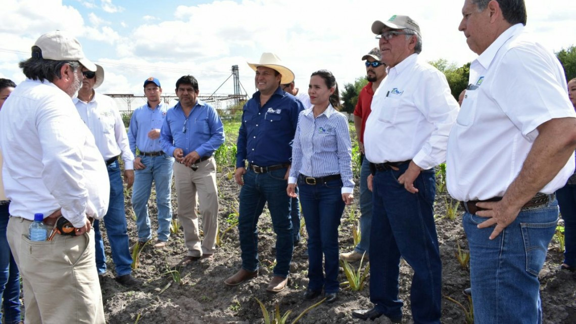 La actividad agrícola será el brazo fuerte de Tamaulipas