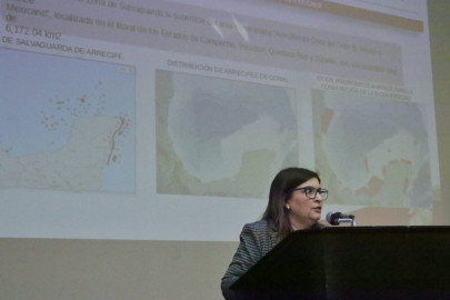 Exploran coexistencia entre arrecifes artificiales y extracción de hidrocarburos